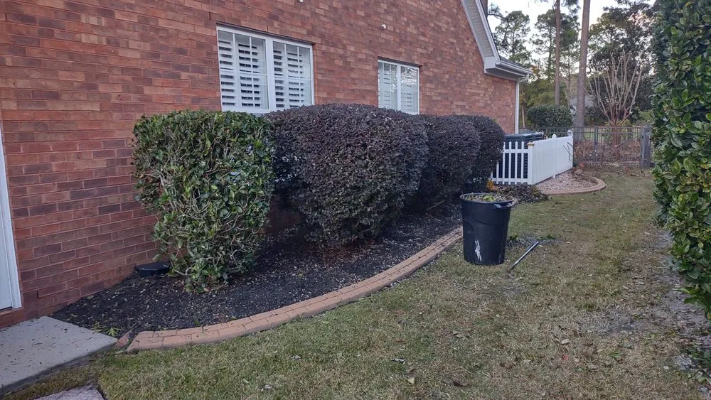 Affordable landscape installation for homes in Georgetown, SC by Orlando's Lawn Care Services