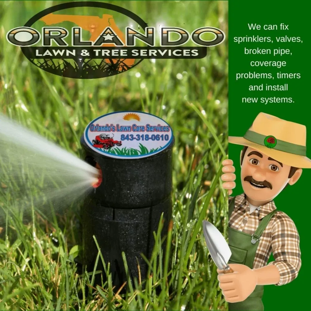 Reliable outdoor landscaping for year-round maintenance across Georgetown, SC - Orlando's Lawn Care Services