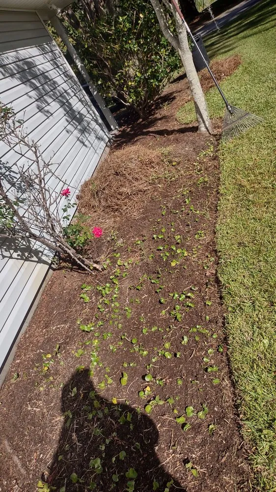 Expert garden landscaping in Georgetown, SC by Orlando's Lawn Care Services