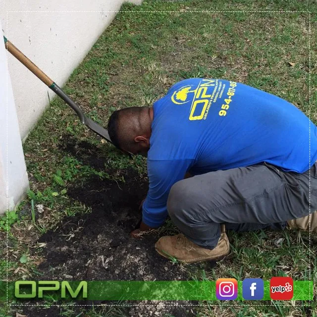 Expert outdoor landscaping in Sunrise, FL - Orlandos Professional Maintenance