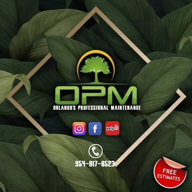 Top-rated landscape installation experts serving Sunrise, FL - Orlandos Professional Maintenance