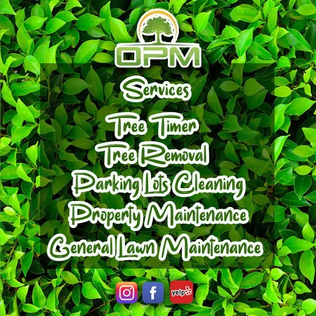 Trusted yard maintenance experts serving Sunrise, FL - Orlandos Professional Maintenance