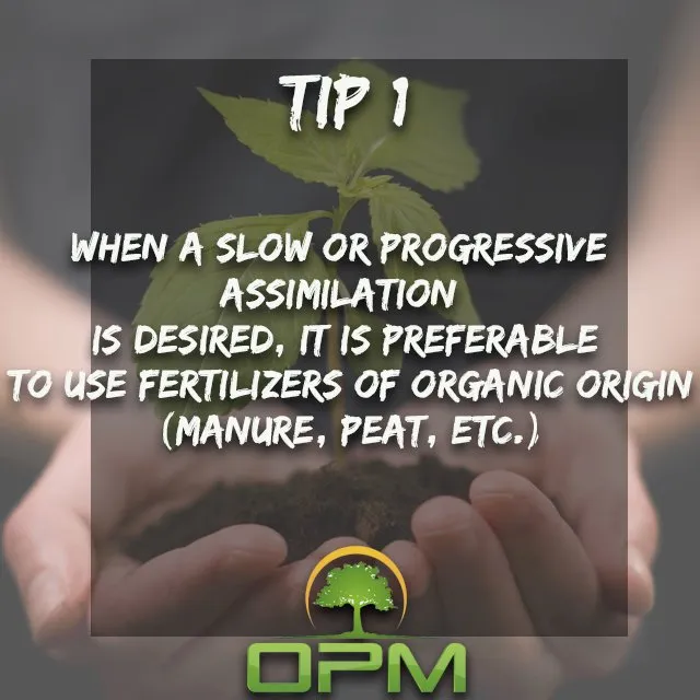 Expert landscape design with custom design across Sunrise, FL - Orlandos Professional Maintenance