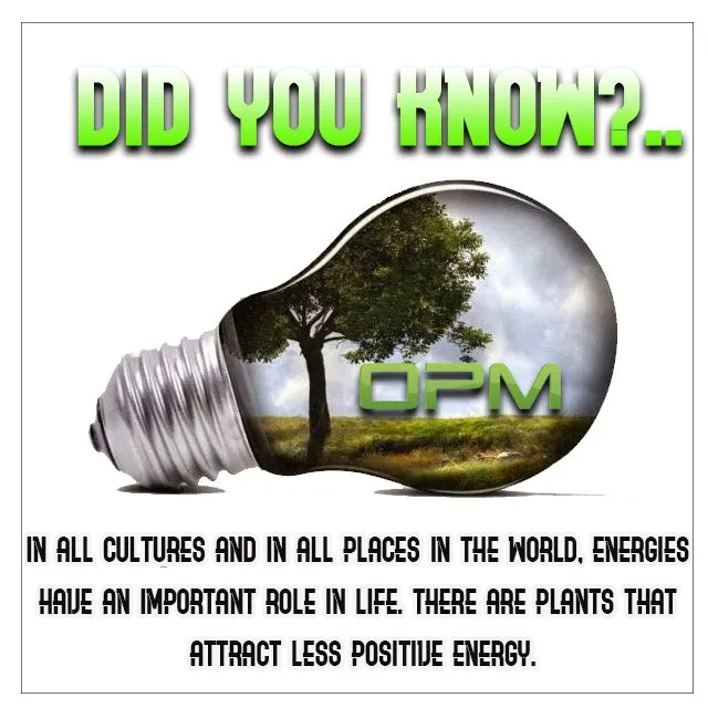 Top-rated lawn care service in Sunrise, FL by Orlandos Professional Maintenance