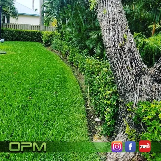 Affordable landscape design in Sunrise, FL - Orlandos Professional Maintenance
