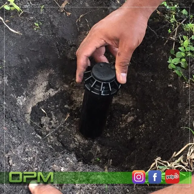 Affordable landscape installation experts serving Sunrise, FL - Orlandos Professional Maintenance