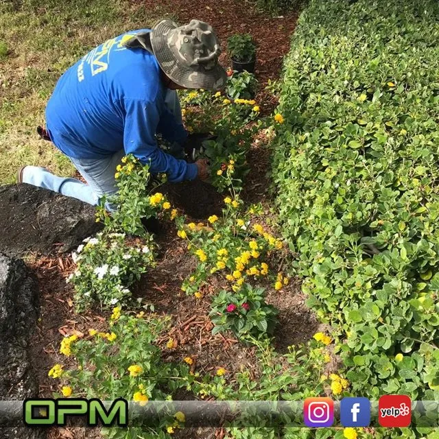 Reliable lawn mowing service experts serving Sunrise, FL - Orlandos Professional Maintenance