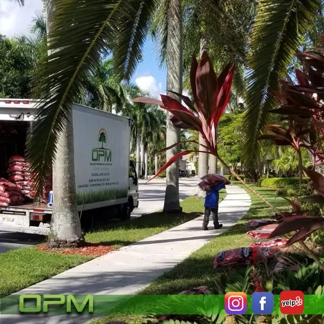 Affordable landscape design for beautiful yards across Sunrise, FL - Orlandos Professional Maintenance