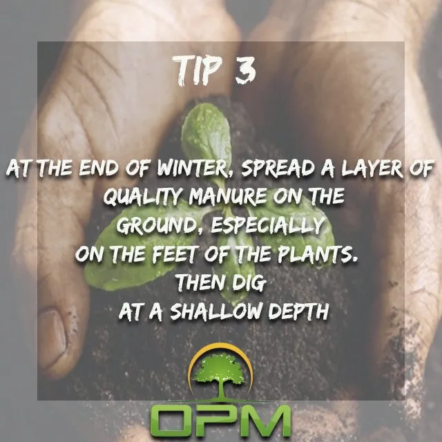 Expert lawn care service for year-round maintenance across Sunrise, FL - Orlandos Professional Maintenance