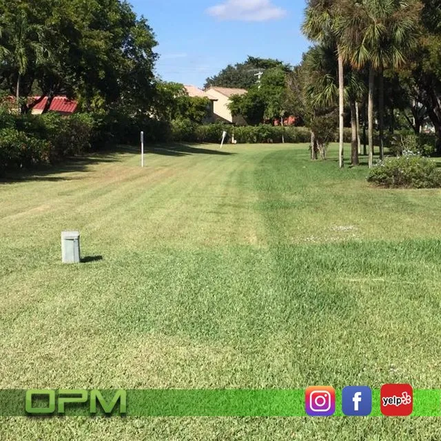 Professional garden landscaping for homes in Sunrise, FL by Orlandos Professional Maintenance