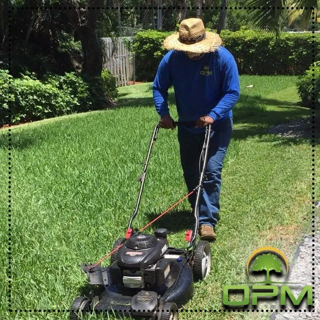 Professional residential landscaping for beautiful yards in Sunrise, FL by Orlandos Professional Maintenance