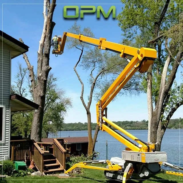 Expert landscaping services near you in Sunrise, FL by Orlandos Professional Maintenance