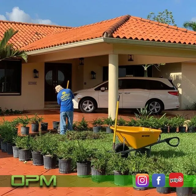 Custom lawn mowing service in Sunrise, FL - Orlandos Professional Maintenance