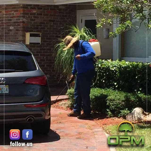 Affordable residential landscaping for beautiful yards in Sunrise, FL by Orlandos Professional Maintenance