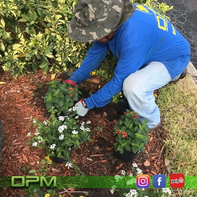 Professional residential landscaping for year-round maintenance in Sunrise, FL by Orlandos Professional Maintenance