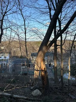 Orloff Tree Service & Excavation