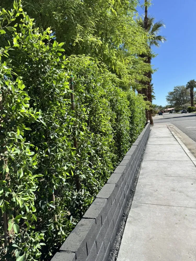 Local landscaping services near you across Palm Desert, CA - Oro Desert Spartan