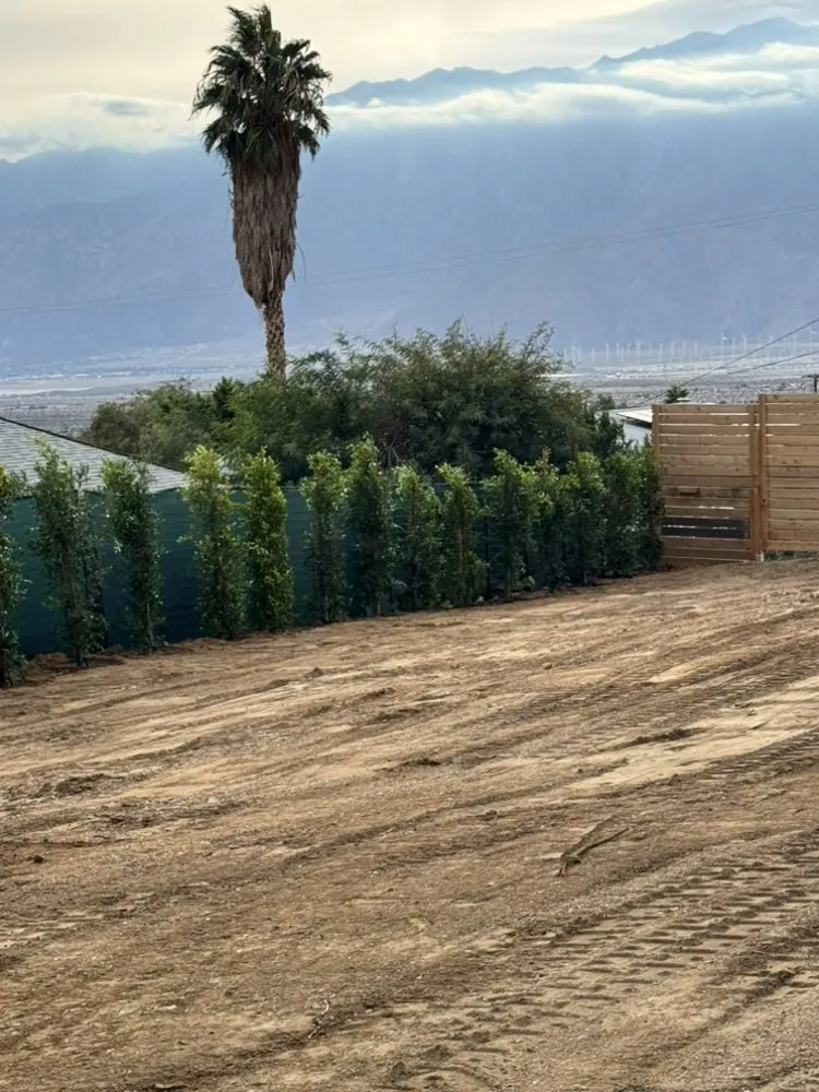 Professional yard maintenance in Palm Desert, CA - Oro Desert Spartan