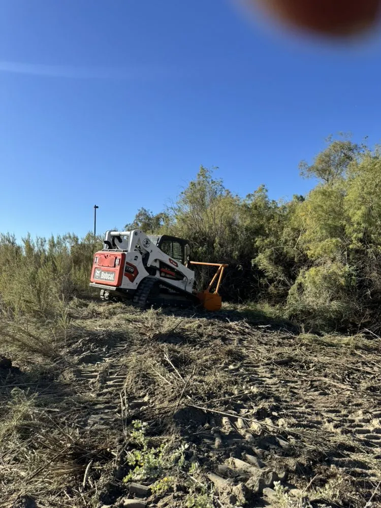 Professional garden landscaping in Palm Desert, CA by Oro Desert Spartan