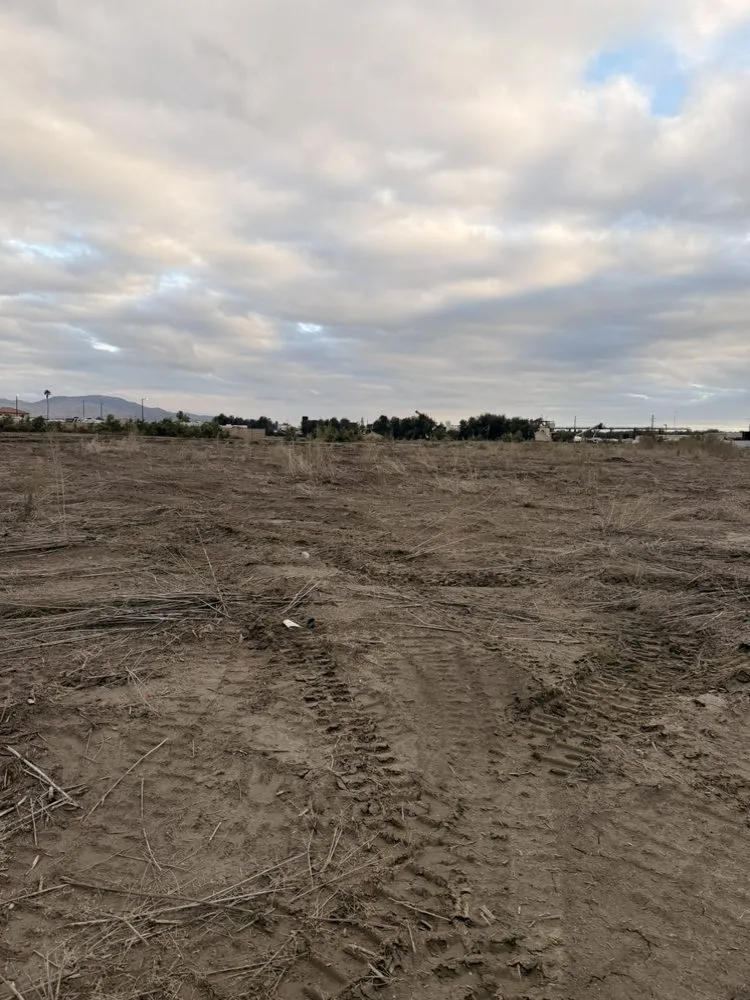 Professional yard cleanup service for residential properties across Palm Desert, CA - Oro Desert Spartan