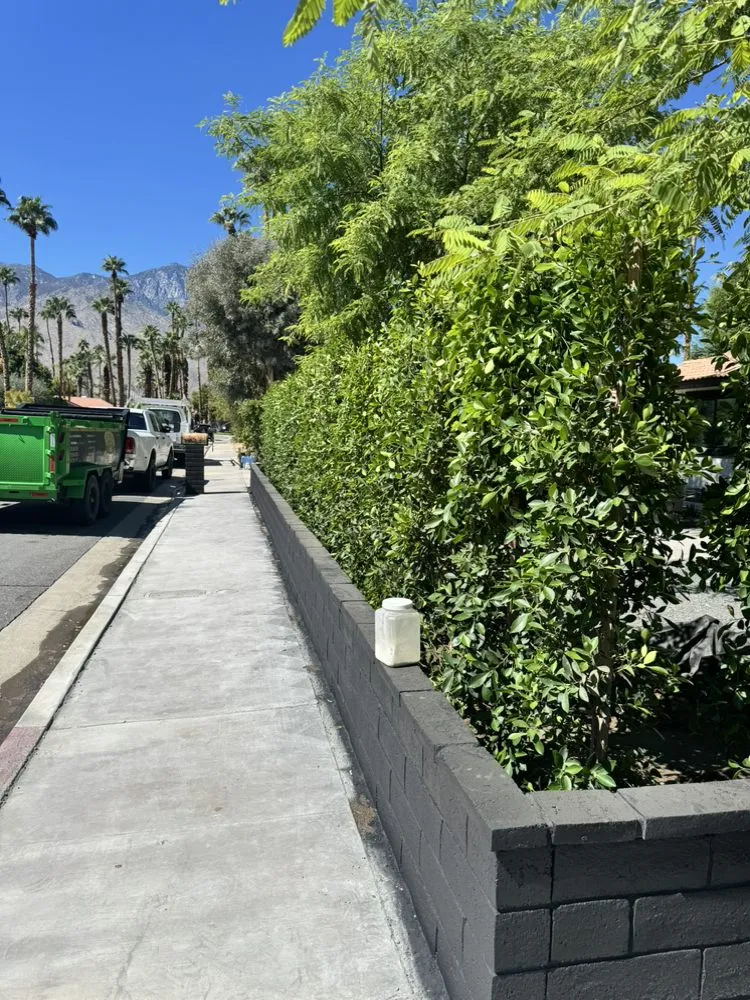 Affordable residential landscaping in Palm Desert, CA - Oro Desert Spartan