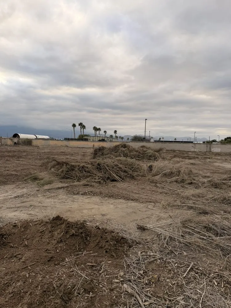 Expert landscape installation for beautiful yards across Palm Desert, CA - Oro Desert Spartan