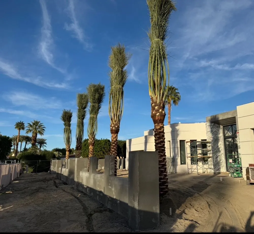 Professional residential landscaping in Palm Desert, CA by Oro Desert Spartan