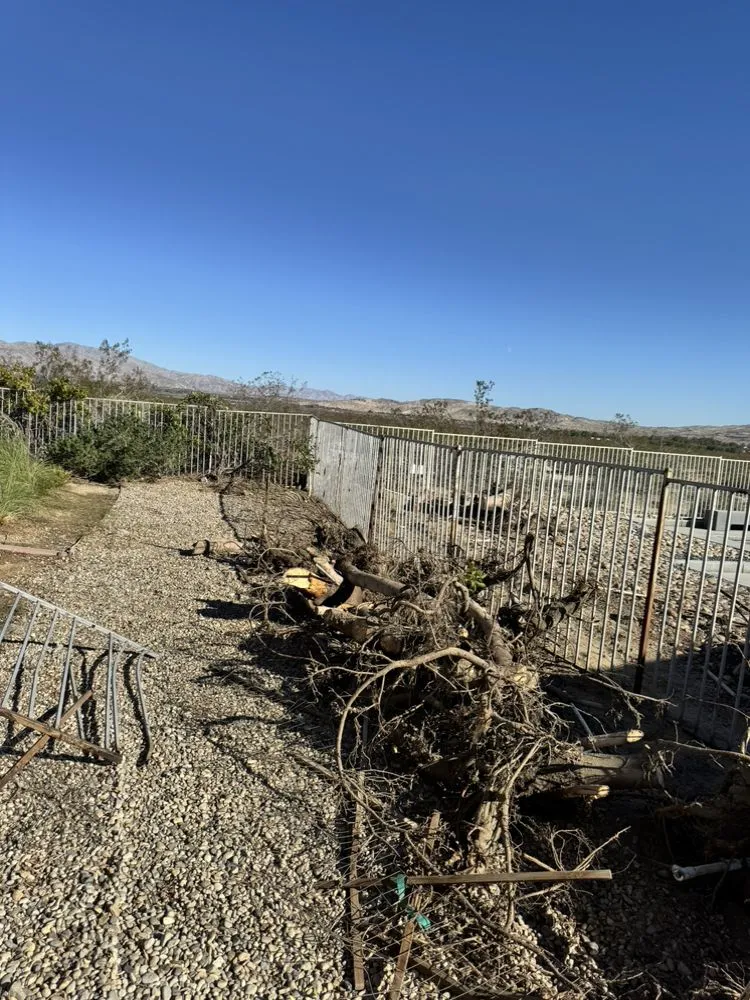 Professional residential landscaping experts serving Palm Desert, CA - Oro Desert Spartan