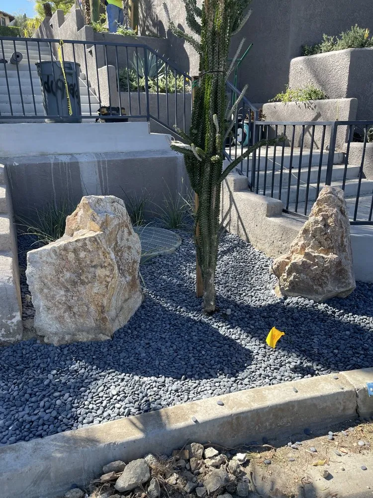 Local lawn mowing service with custom design across North Palm Springs, CA - Oro Desert Spartan Tree & Landscape Turf Service