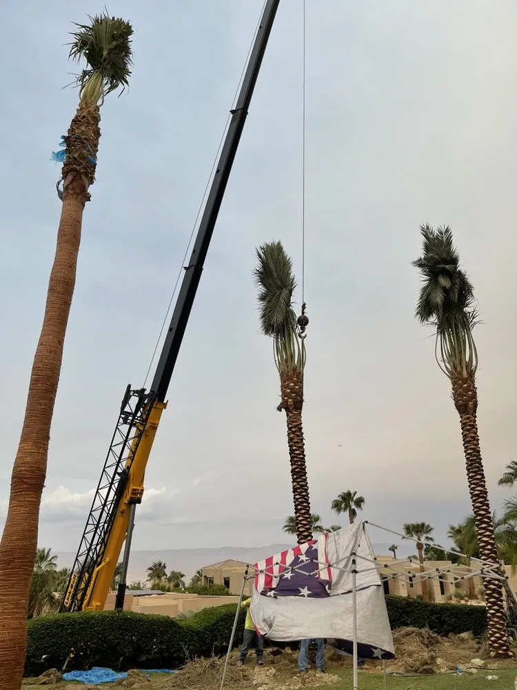 Local garden landscaping for beautiful yards in North Palm Springs, CA by Oro Desert Spartan Tree & Landscape Turf Service