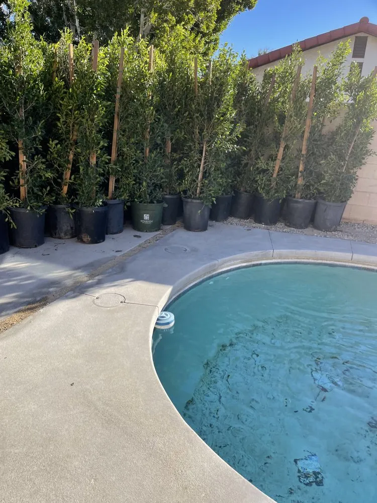 Reliable lawn care service for beautiful yards across North Palm Springs, CA - Oro Desert Spartan Tree & Landscape Turf Service
