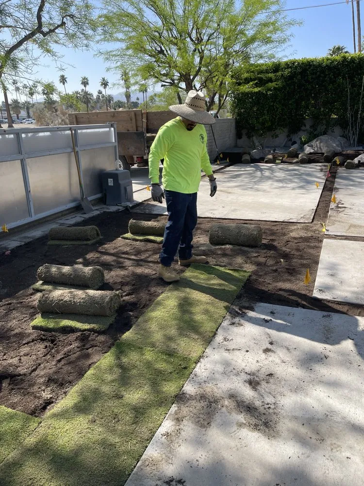 Professional yard maintenance with custom design across North Palm Springs, CA - Oro Desert Spartan Tree & Landscape Turf Service