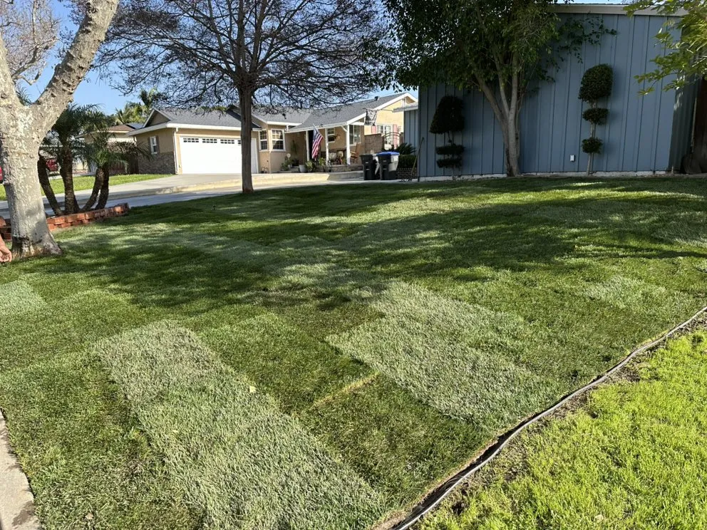 Reliable yard maintenance experts serving Firestone Park, CA - Oro Landscaping