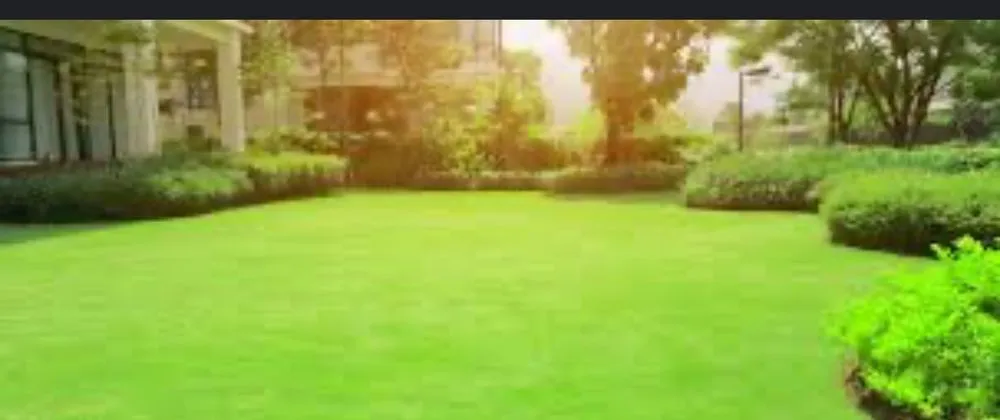 Trusted lawn mowing service experts serving Dacula, GA - Oro Verde Home Services
