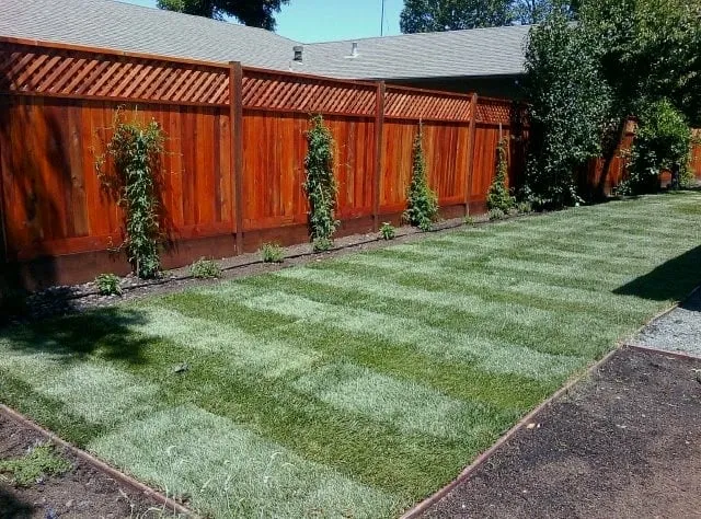 Top-rated landscape installation in Sonoma, CA - Orona's Landscaping