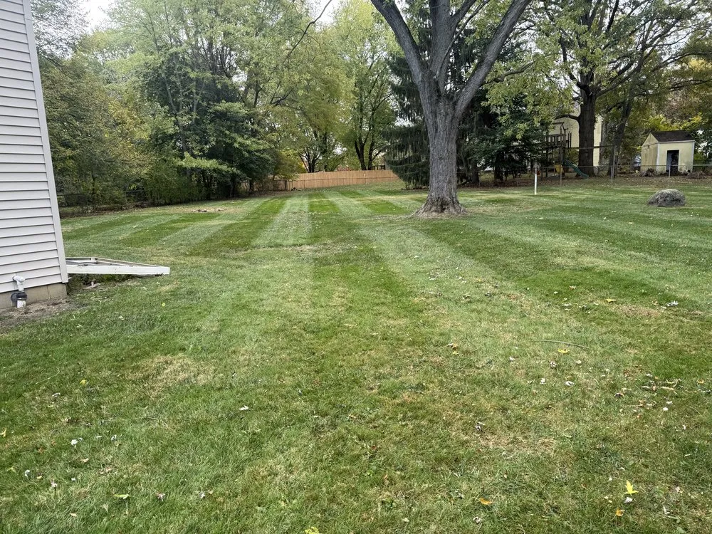 Local landscape design for year-round maintenance across Columbus, OH - Oronoz Landscaping