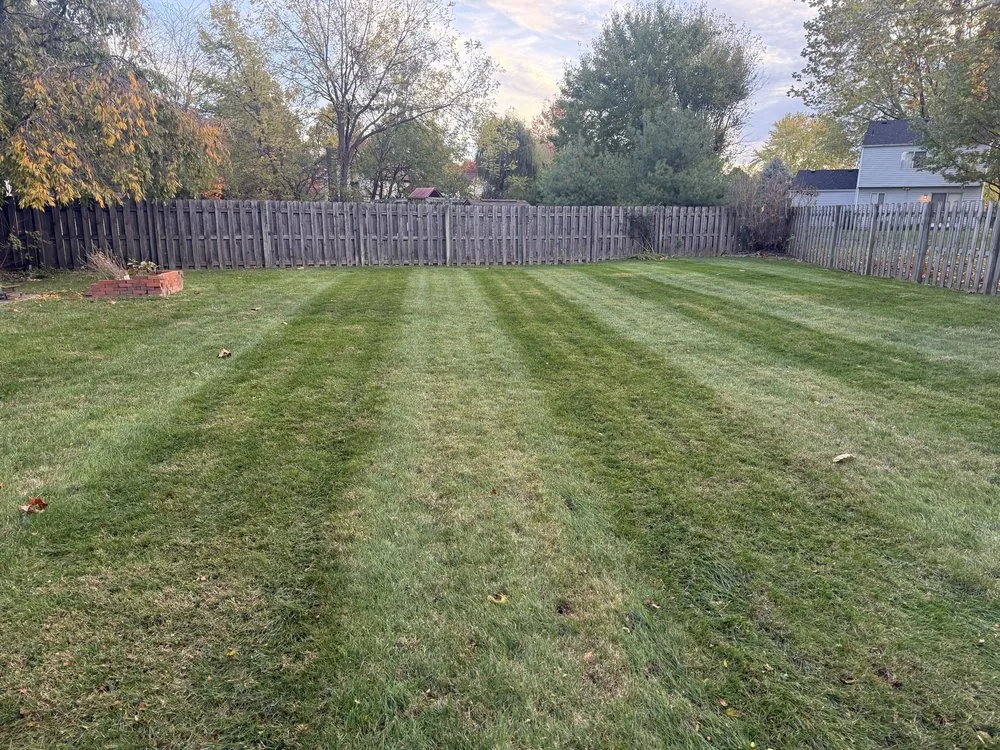 Affordable yard cleanup service for outdoor upgrades across Columbus, OH - Oronoz Landscaping