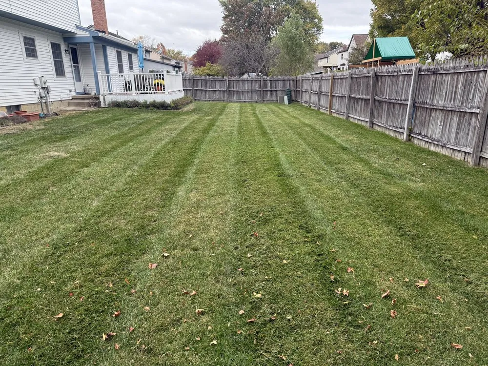 Trusted yard cleanup service in Columbus, OH by Oronoz Landscaping