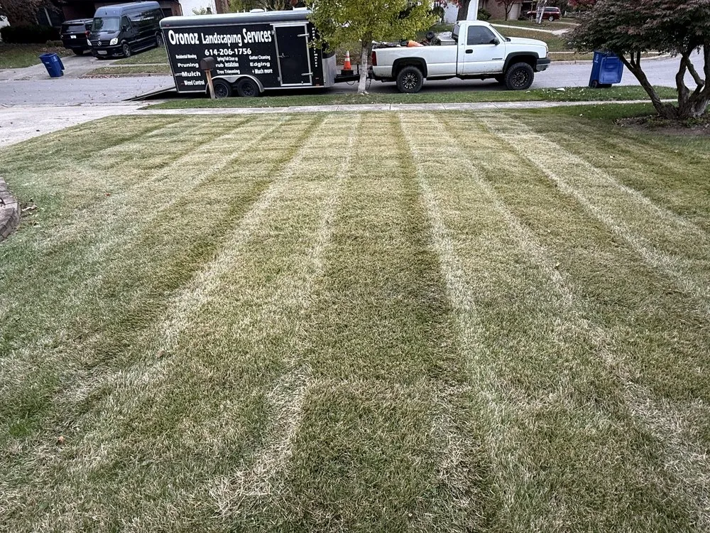 Trusted landscape installation for outdoor upgrades in Columbus, OH by Oronoz Landscaping