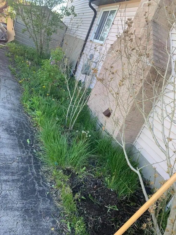 Local yard cleanup service in New Brighton, MN by Oropeza Lawn Care