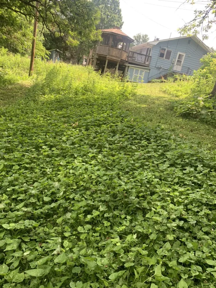 Expert lawn care service for beautiful yards across New Brighton, MN - Oropeza Lawn Care