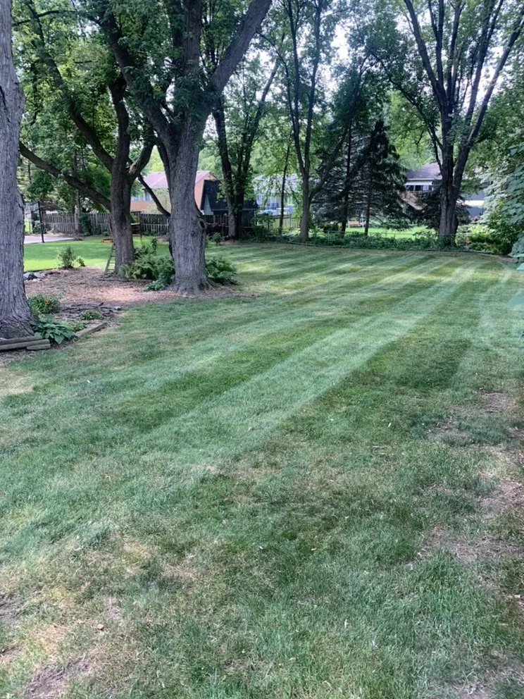 Top-rated outdoor landscaping experts serving New Brighton, MN - Oropeza Lawn Care