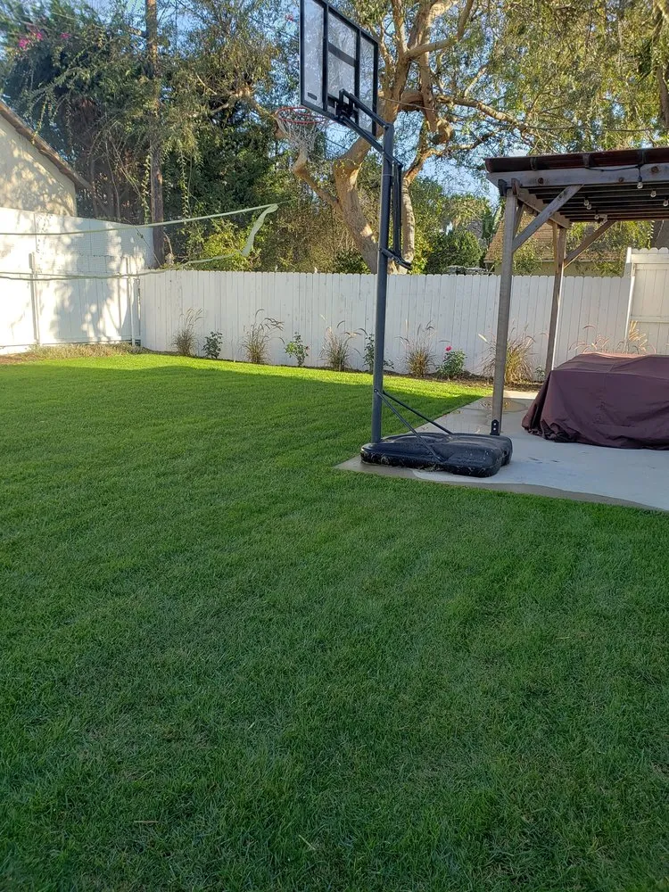 Affordable outdoor landscaping for beautiful yards across Culver City, CA - Oropeza's Landscaping