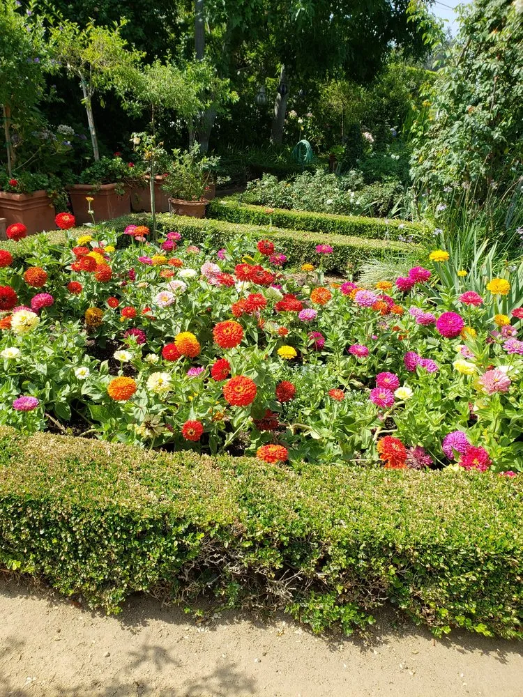Trusted residential landscaping in Culver City, CA by Oropeza's Landscaping