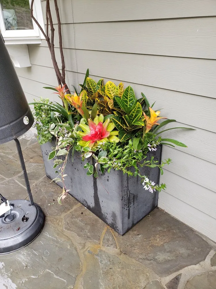 Professional yard maintenance in Culver City, CA - Oropeza's Landscaping