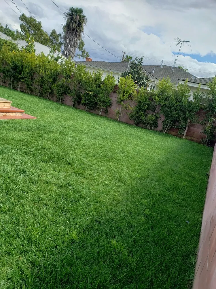 Top-rated landscape installation for year-round maintenance in Culver City, CA by Oropeza's Landscaping