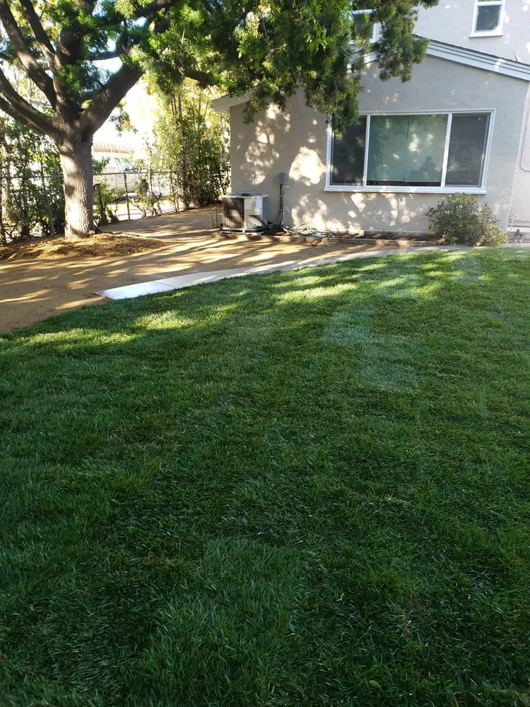 Reliable landscaping services near you in Culver City, CA by Oropeza's Landscaping