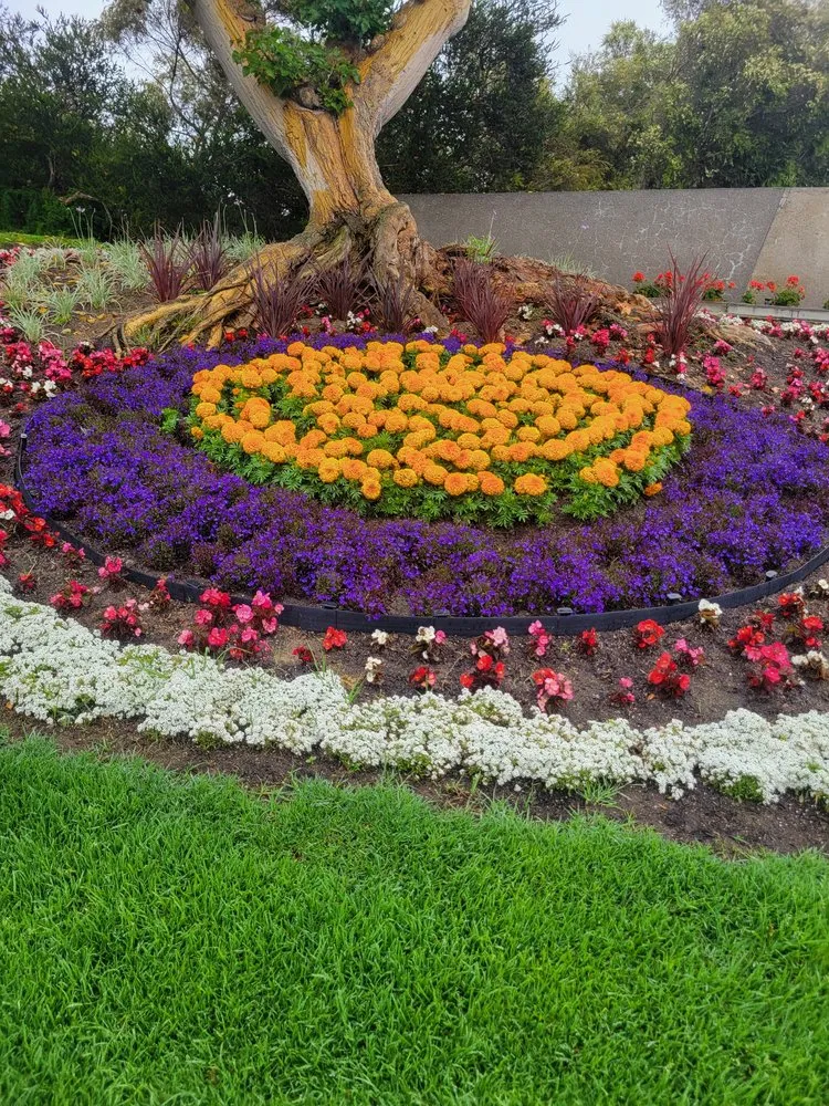 Top-rated yard maintenance for homes in Culver City, CA by Oropeza's Landscaping