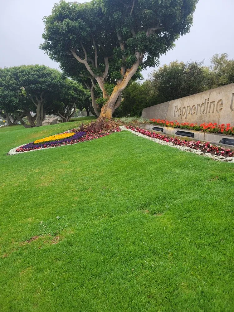 Affordable lawn mowing service in Culver City, CA - Oropeza's Landscaping