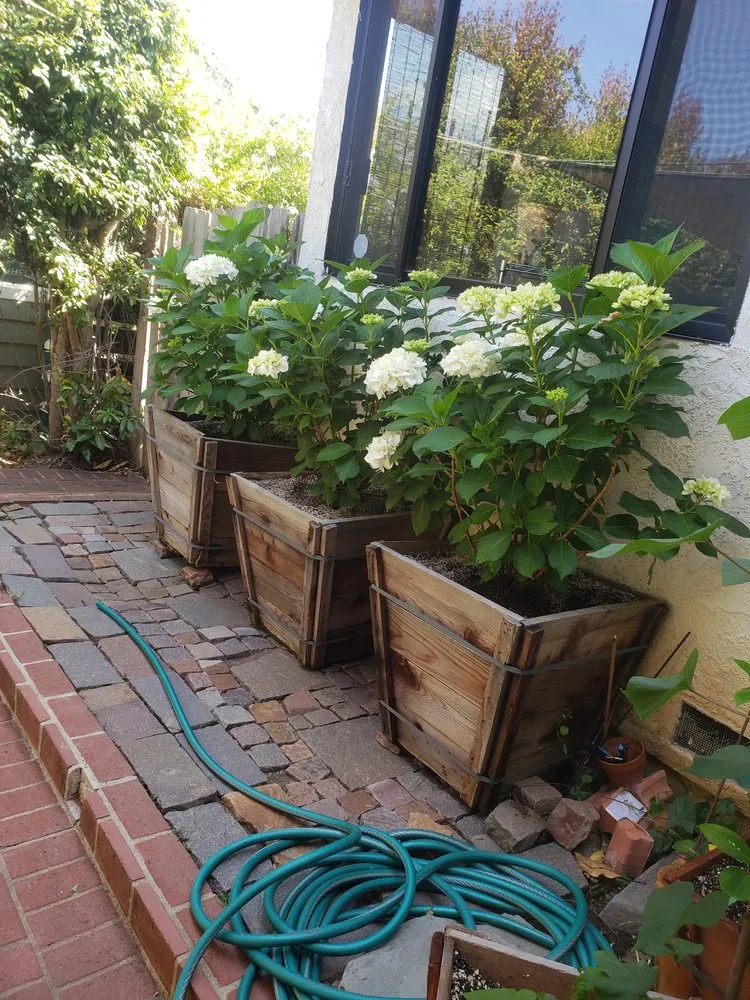 Expert yard maintenance experts serving Culver City, CA - Oropeza's Landscaping